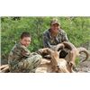 Image 1 : 2 DAY TEXAS FREE RANGE AOUDAD AND UNLIMTED HOGS FOR 1 - $4,500