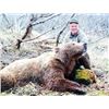 Image 2 : 10-DAY INTERIOR ALASKA GRIZZLY FOR 1 - $22,500 / EXHIBITOR