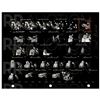 Image 3 : Fleetwood Mac Archive of (22) Contact Sheet Photographs by Sam Emerson
