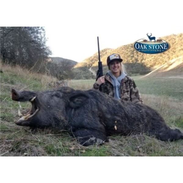 Oakstone Pig Hunt