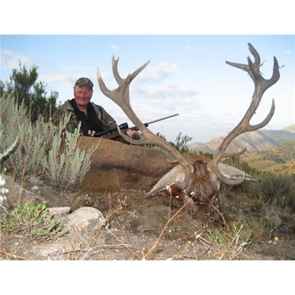 Your-Choice Hunt in Spain