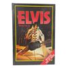 Image 1 : Elvis Musical Pop Up Hardcover – Feb. 13 1986 ·