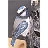 Image 2 : Bird Themed Outdoor Decor