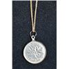 Image 1 : 1977 LUCKY PENNY PENDANT ON GOLD TONE CHAIN