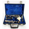 CLARINET IN HARD CASE