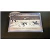 Image 1 : RCM 2004 CANADIAN COIN SPECIMEN SET