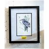 Image 1 : Richard Shorty Framed Print - Hummingbird & Blue Heron