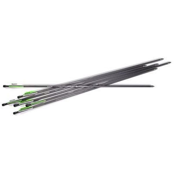 BENJAMIN PIONEER AIRBOW ARROWS 6