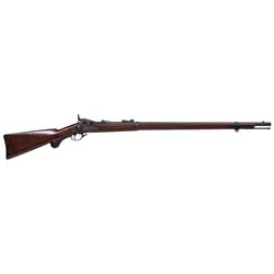 Springfield Model 1881 Long Range Rifle,