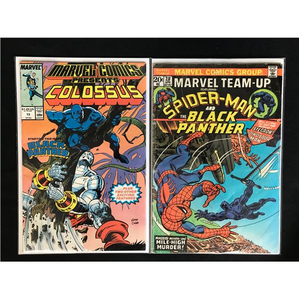 MARVEL COMICS PRESENTS NO.13/ MARVEL TEAM-UP NO.20 (MARVEL COMICS)