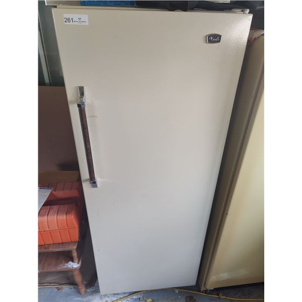 Standing Freezer