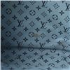 Image 8 : Louis Vuitton Multicolor Promenade Canvas Ailleurs Cabas Limited Edition PM Tote