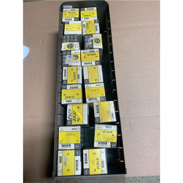 Lot of (18) New Allen Bradley #800MR-HK2BLD1, Ser. C Selector Switches