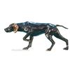 Image 1 : Bronze Figure Of Hunting Dog Pointing - 10"L x 4"H