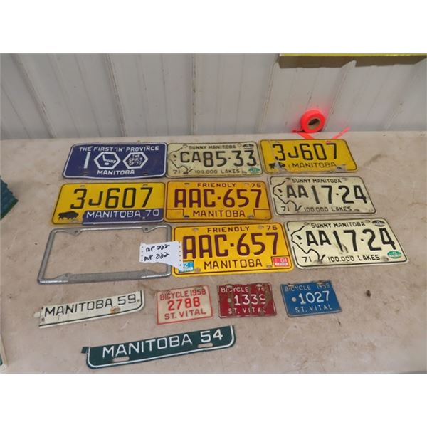 13 License Auto + Bicycle Plates & Wpg License Plate Topper