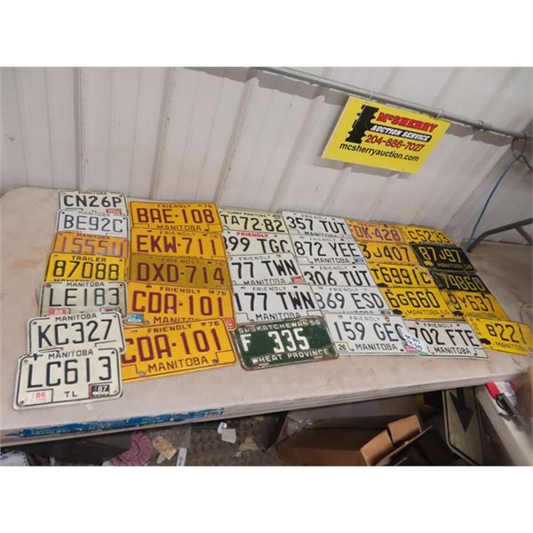 32 License Plates