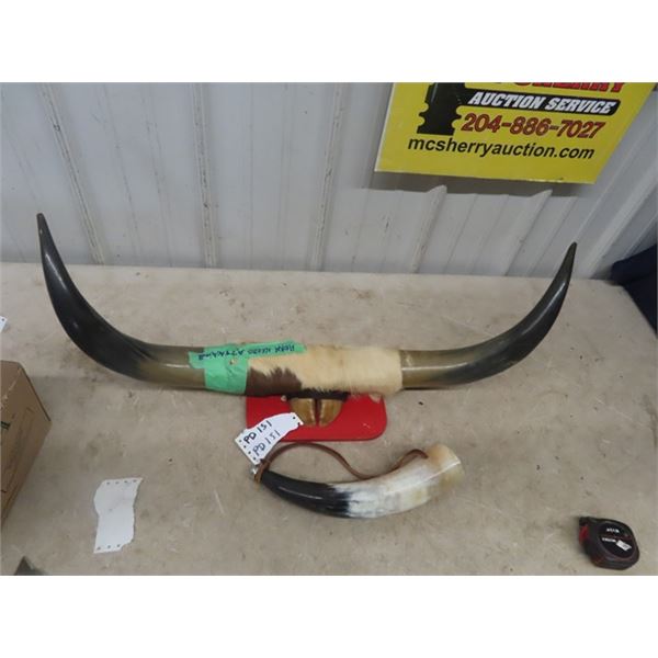 Long Horns 32" Spread - 1 Side broken/Taped On & Powder Horn - No Bottom