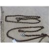 Image 3 : 4 - 20' Chains & Hooks