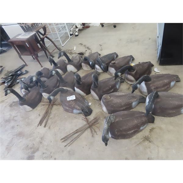 18 Canadian Goose Decoys