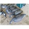 Image 2 : 17 Canadian Goose Decoys