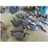 Image 4 : 17 Canadian Goose Decoys