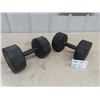 Image 1 : 2 - 30 lb Steel Dumbbells