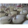 Image 3 : 21 Snow Goose Decoys