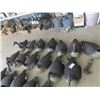 Image 1 : 26 Canadian Goose Decoys