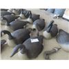 Image 2 : 26 Canadian Goose Decoys