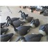 Image 3 : 26 Canadian Goose Decoys
