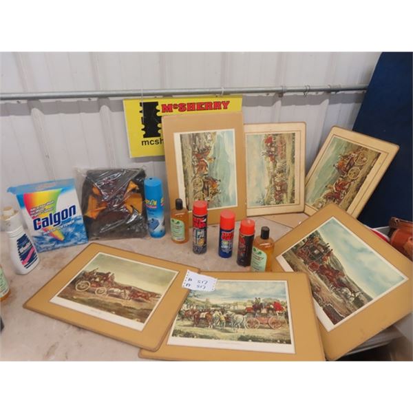 Cleaning Supplies, Oictures on Matts, Dewalt Soft Tool Carrier