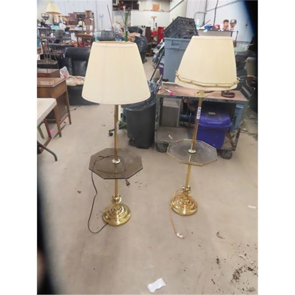 2 Floor Lamps