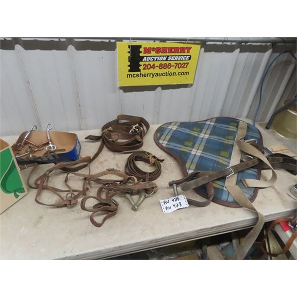 Light Exercise Saddle, Bridles, Reins, Bits