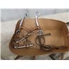 Image 3 : Light Exercise Saddle, Bridles, Reins, Bits