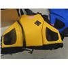 Image 3 : 2 Life Jackets