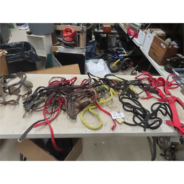 Horse Tack; Halters, Bridles, Leads plus more