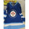 Image 2 : WPG Jets Kane Jersey SZ 52 & Chargers Jersey Jackson SZ 48