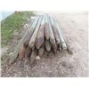 Image 3 : 32 Treated 6' Fence Posts