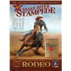 Image 1 : VIP Experience at the Snake River Stampede