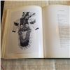 Image 8 : The Inuit Amautik - book of Inuit history , art , culture. former library book