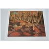 Image 1 : Tom Thomson Print - The Birch Grove