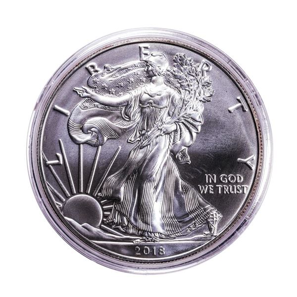 2018-W $1 Burnished American Silver Eagle Coin