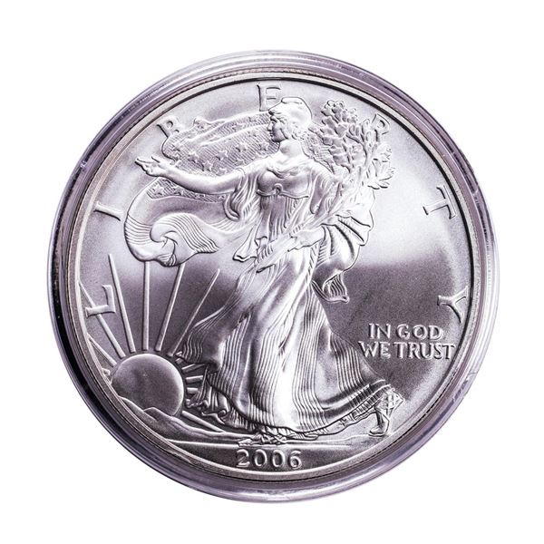 2006-W $1 Burnished American Silver Eagle Coin