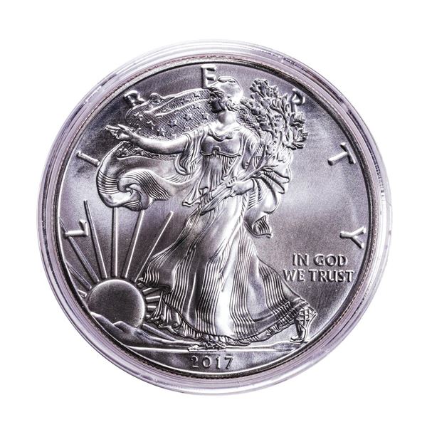 2017-W $1 Burnished American Silver Eagle Coin