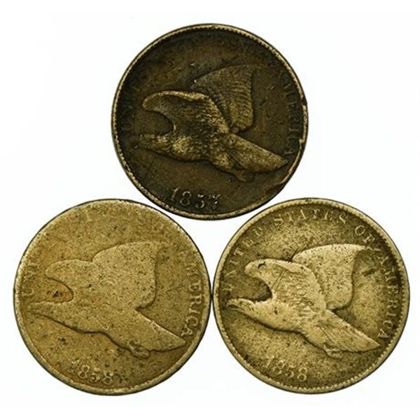 Complete Set of Flying Eagle Cents