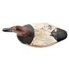 Image 5 : Antique Canvasback Duck Decoy