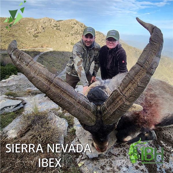 Sierra Nevada Ibex Hunt - Spain - Iber Hunting