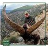 Image 2 : Sierra Nevada Ibex Hunt - Spain - Iber Hunting
