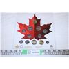 Image 1 : 2007 Canada Coin Collection (Coloured toonie)