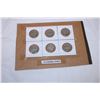 Image 3 : (12) US Buffalo Nickels 1913-38